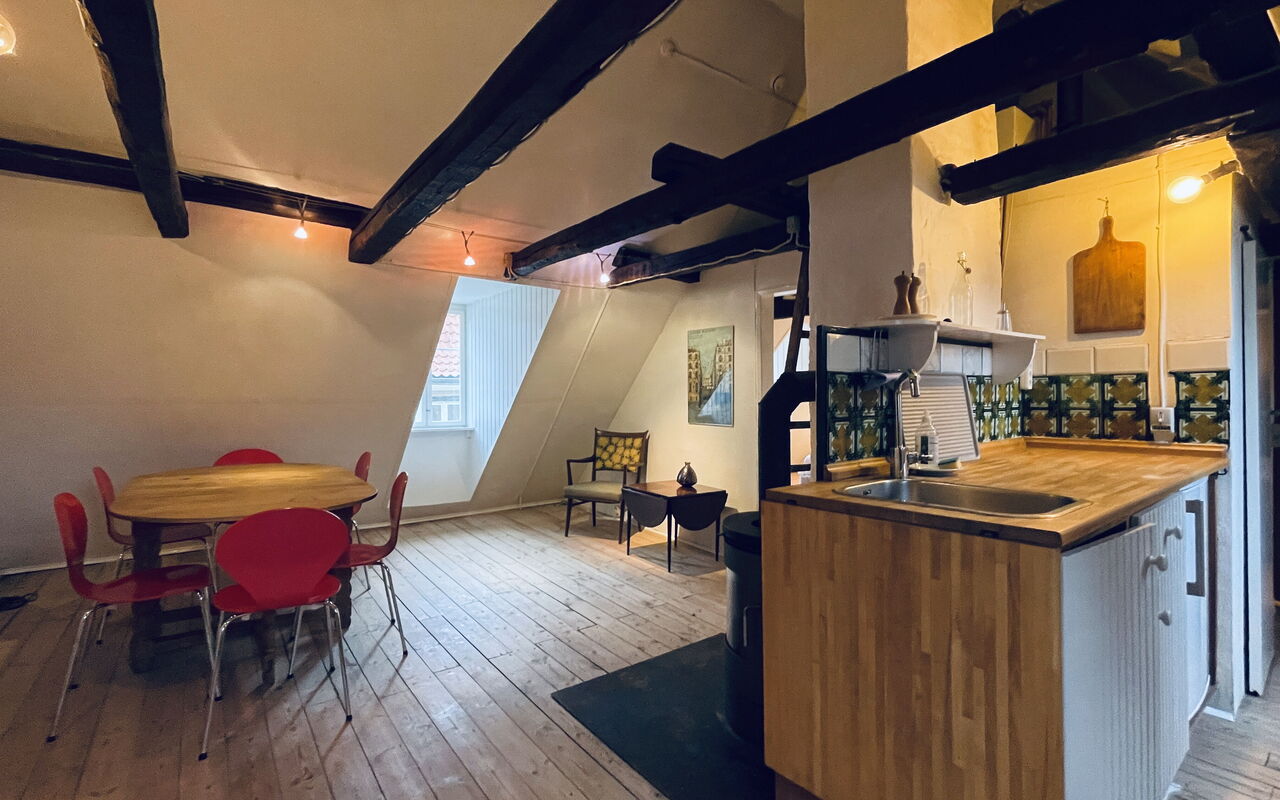 Absolute Center - 1 Br - 2 People - Inner City: Kök, Lunchrum, Vardagsrum